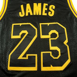 LeBron James No. 23 Lakers Jersey - Adult Polyester