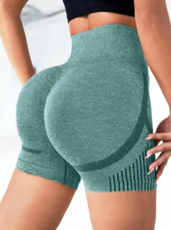 Seamless High-Waist Yoga Shorts - Modernrush.us