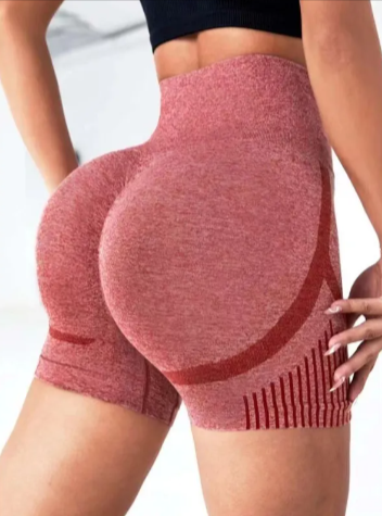 Seamless High-Waist Yoga Shorts - Modernrush.us