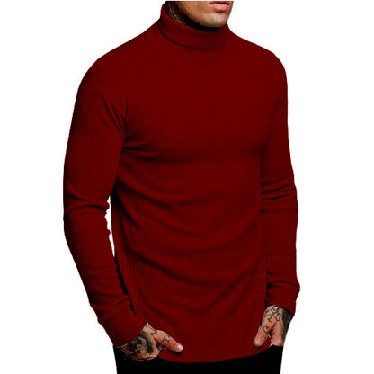 Casual Men's High Neck Solid Color Knitwear - Modernrush.us