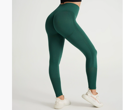 Seamless Yoga Pants High Waist - Modernrush.us
