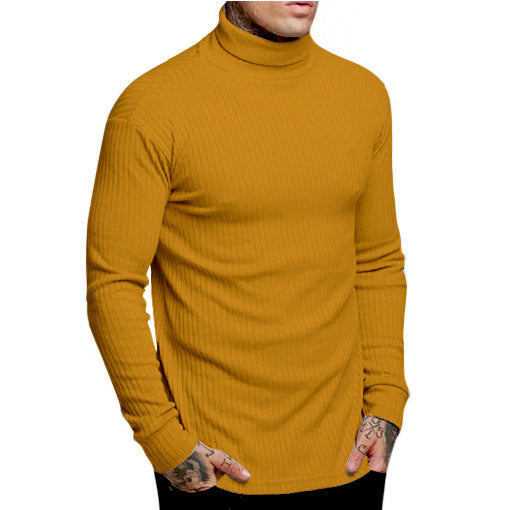 Casual Men's High Neck Solid Color Knitwear