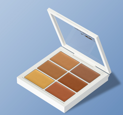 MYG Concealer Palette for Blemishes and Dark Circles - Modernrush.us
