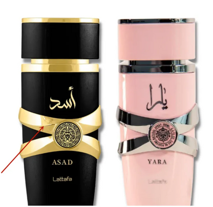Women's Perfume Spray - Modernrush.us