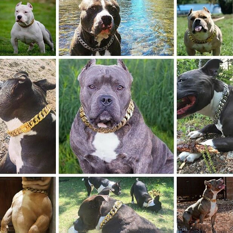19mm Strong Metal Dog Chain