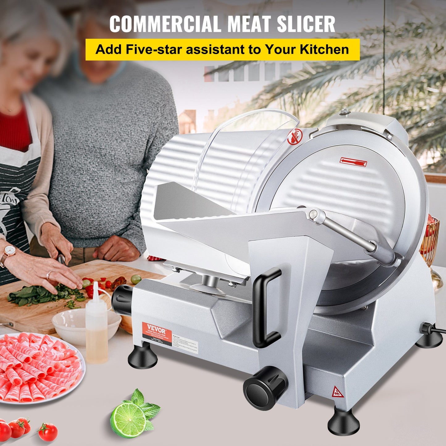 Commercial Meat Slicer, 240W Electric Deli Food Slicer, 10 inch Carbon